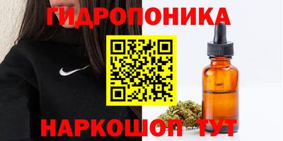 apvp Славгород