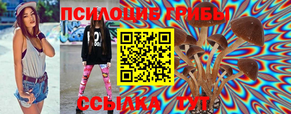 Галлюциногенные грибы прущие грибы Первоуральск