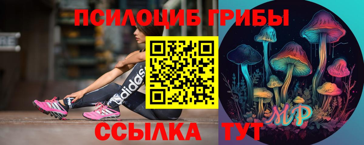 Первоуральск  Галлюциногенные грибы Cubensis  Псилоцибиновые грибы ЛСД  Вход с VPN 